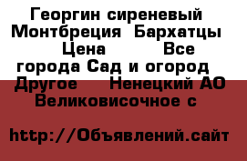 Георгин сиреневый. Монтбреция. Бархатцы.  › Цена ­ 100 - Все города Сад и огород » Другое   . Ненецкий АО,Великовисочное с.